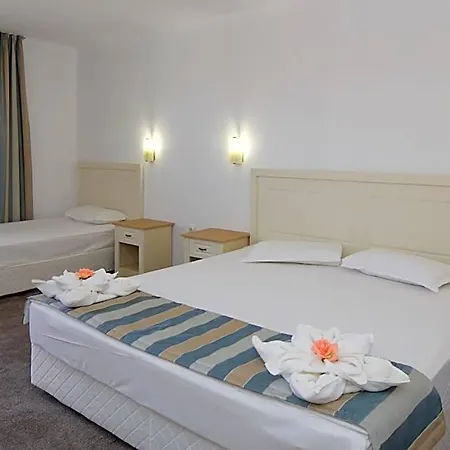 Mena Palace فندق